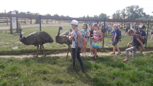 Dětský den - Zoopark Zelčín 