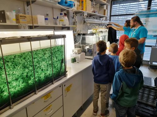 Festival Týden akademie věd 3. B